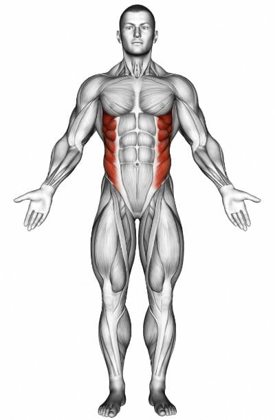 Obliques